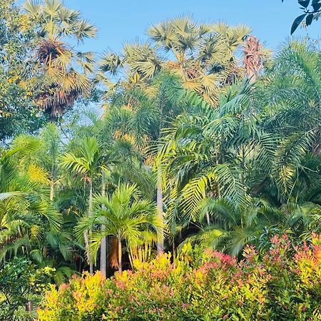 Sasvi Cabana Trincomalee Exteriör bild