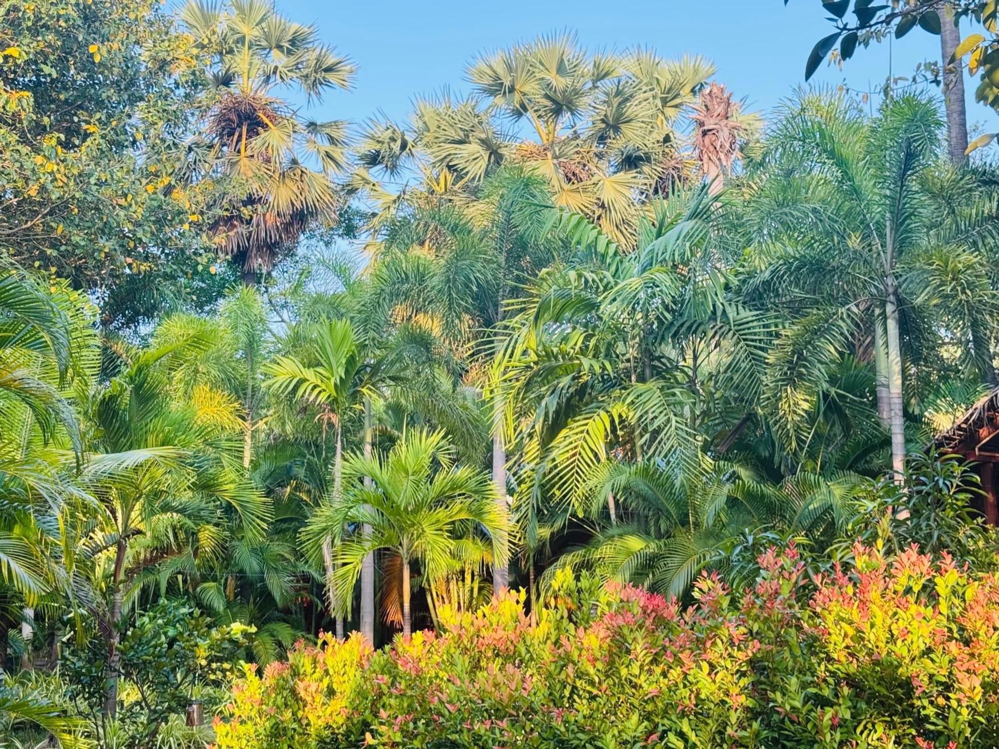 Sasvi Cabana Trincomalee Exteriör bild